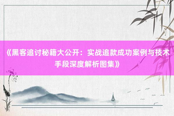 《黑客追讨秘籍大公开:实战追款成功案例与技术手段深度解析图集》