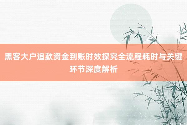 黑客大户追款资金到账时效探究全流程耗时与关键环节深度解析