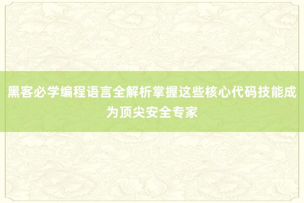 黑客必学编程语言全解析掌握这些核心代码技能成为顶尖安全专家